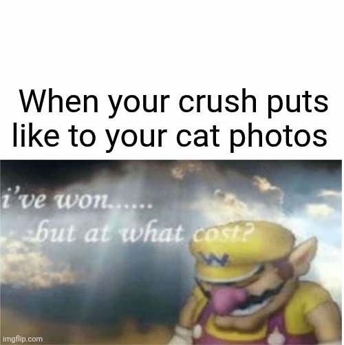 I won but at what cost | When your crush puts like to your cat photos | image tagged in i won but at what cost | made w/ Imgflip meme maker
