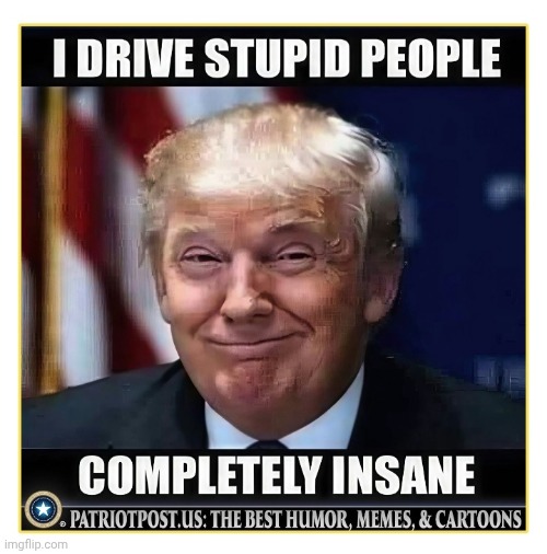 image tagged in maga,rules,libtard,losers | made w/ Imgflip meme maker