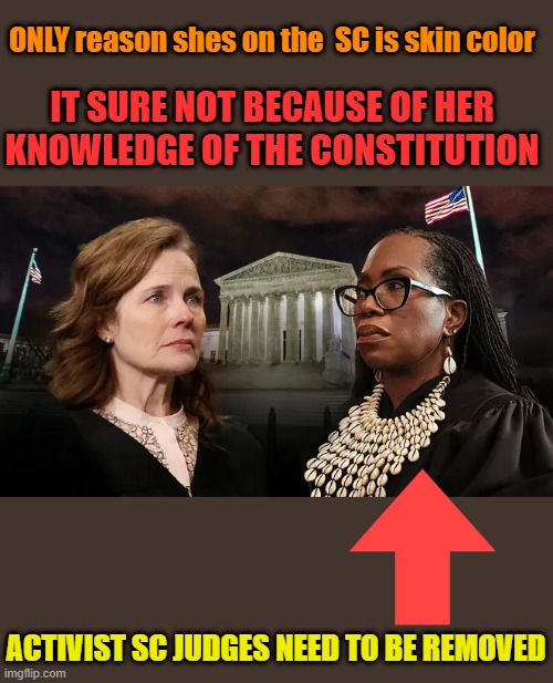 IT SURE NOT BECAUSE OF HER KNOWLEDGE OF THE CONSTITUTION; ONLY reason shes on the  SC is skin color; ACTIVIST SC JUDGES NEED TO BE REMOVED | made w/ Imgflip meme maker