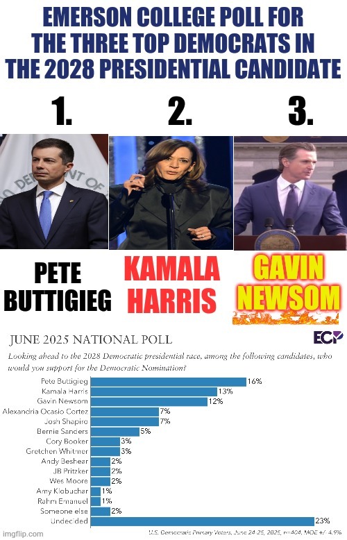 What Do You Think About These Choices? | image tagged in memes,democrats,next,presidential election,you chose,who would win | made w/ Imgflip meme maker