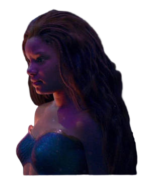 halle ariel Blank Meme Template