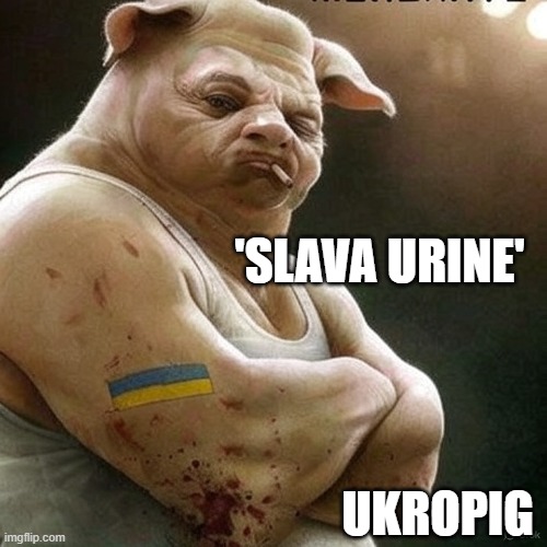 oink, | 'SLAVA URINE'; UKROPIG | image tagged in pigs | made w/ Imgflip meme maker