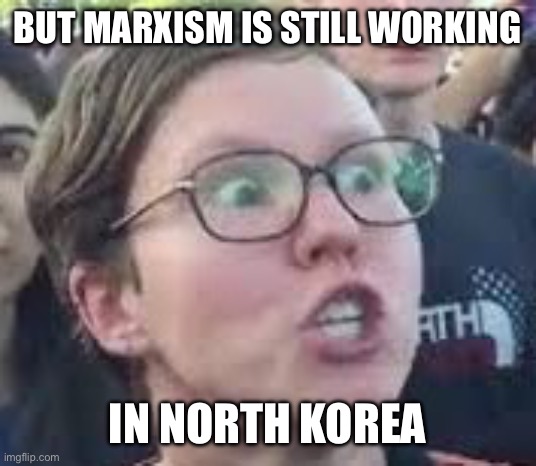 SJW | BUT MARXISM IS STILL WORKING IN NORTH KOREA | image tagged in sjw | made w/ Imgflip meme maker