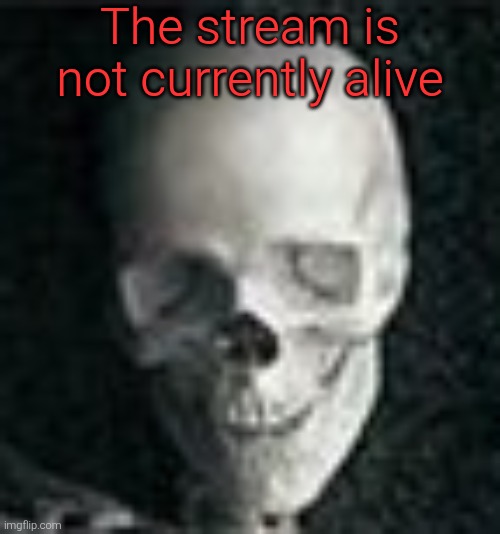 Skull | The stream is not currently alive | image tagged in skull,sans of topic is hiding in the tags,i deleted the rickroll | made w/ Imgflip meme maker