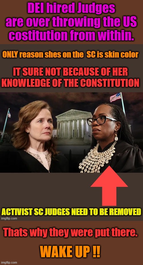 All of Barrys apointments were DEI.. LAWFARE Judges are big US enemy | DEI hired Judges are over throwing the US costitution from within. Thats why they were put there. WAKE UP !! | made w/ Imgflip meme maker