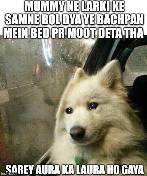sad dog, in car | MUMMY NE LARKI KE SAMNE BOL DYA YE BACHPAN MEIN BED PR MOOT DETA THA; SAREY AURA KA LAURA HO GAYA | image tagged in sad dog in car | made w/ Imgflip meme maker