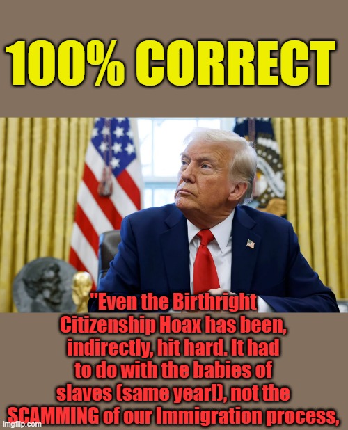 Legal & illegal needs to be limited & verified the need for them. You can't have have a wide open spicket ,the well goes dry. | 100% CORRECT; "Even the Birthright Citizenship Hoax has been, indirectly, hit hard. It had to do with the babies of slaves (same year!), not the SCAMMING of our Immigration process, | made w/ Imgflip meme maker