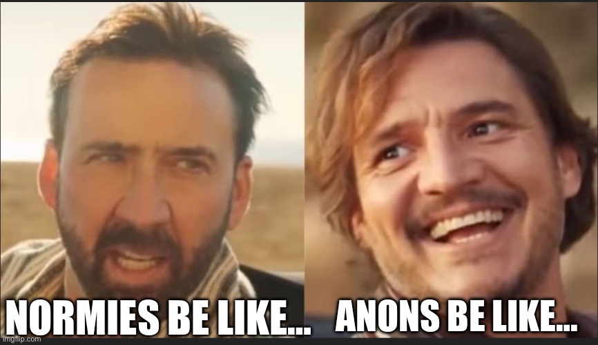 Normie | ANONS BE LIKE…; NORMIES BE LIKE… | image tagged in memes | made w/ Imgflip meme maker