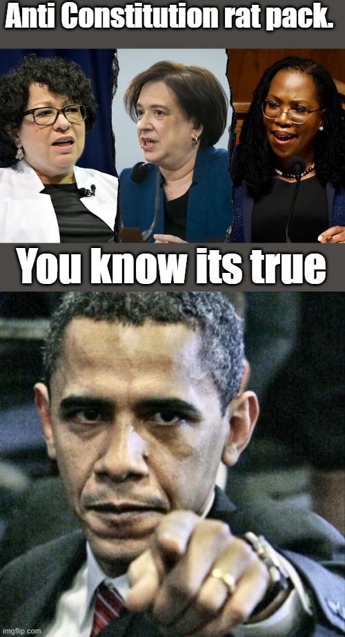 Word....  is this to harsh ? | Anti Constitution rat pack. You know its true | image tagged in memes,pissed off obama | made w/ Imgflip meme maker