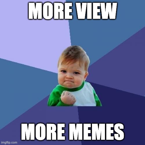 more view memes | MORE VIEW; MORE MEMES | image tagged in memes,success kid | made w/ Imgflip meme maker