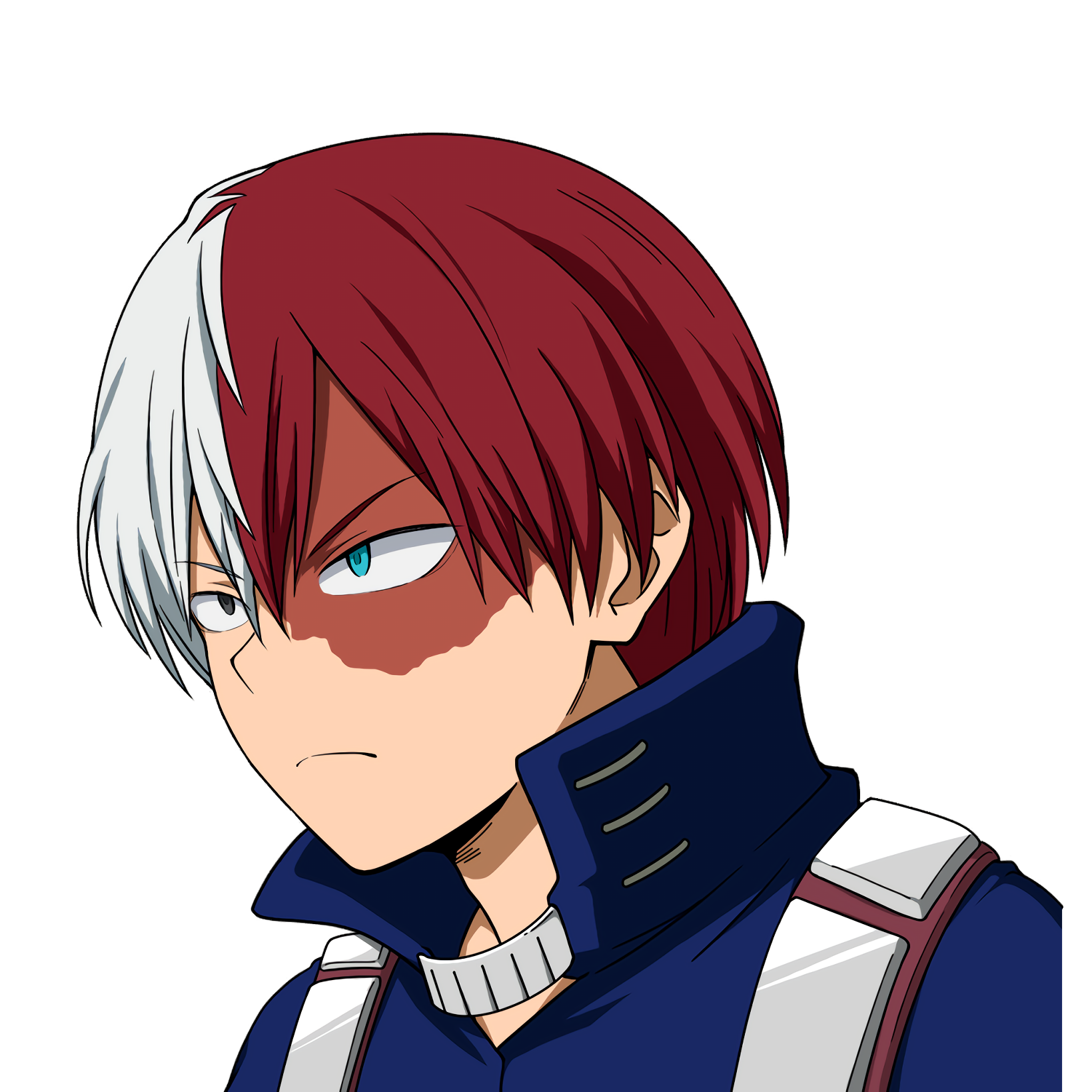 shoto Blank Meme Template