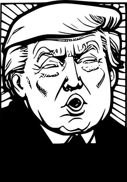 Donald Trump Drawing - Funny Face Blank Meme Template