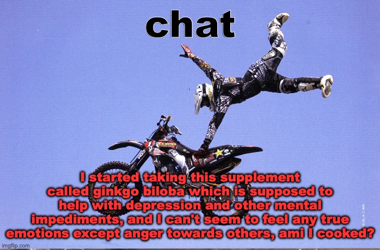 æeeeee | chat; I started taking this supplement called ginkgo biloba which is supposed to help with depression and other mental impediments, and I can't seem to feel any true emotions except anger towards others, ami I cooked? | image tagged in dirt bike | made w/ Imgflip meme maker