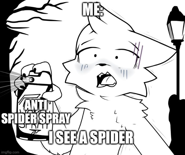 BoyKisser Anti-Women Spray | ME:; ANTI SPIDER SPRAY; I SEE A SPIDER | image tagged in boykisser furry anti woman spray,oh hell no,spider | made w/ Imgflip meme maker