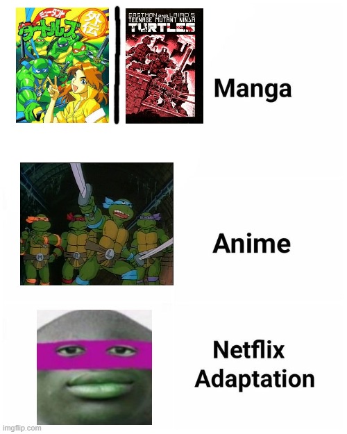 even the host is laughably bad at making shows | image tagged in manga anime netflix adaption,funny,memes,teenage mutant ninja turtles,netflix,relatable | made w/ Imgflip meme maker