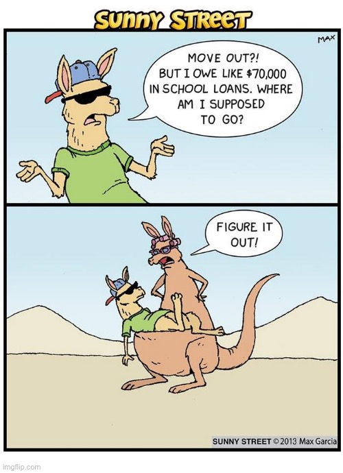 “Boomerang Kids” in the kangaroo world… | image tagged in comics,sunny street,kangaroos,its time to move out | made w/ Imgflip meme maker