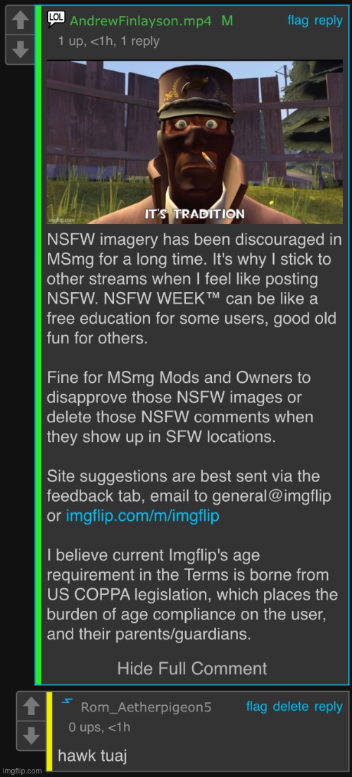 thoughts? | image tagged in hawk tuaj | made w/ Imgflip meme maker