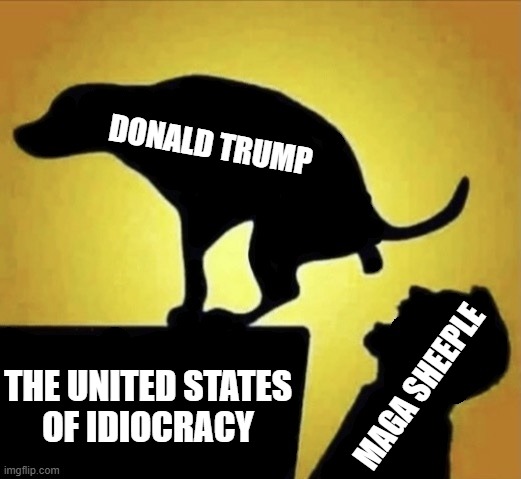 9yscqu.jpg