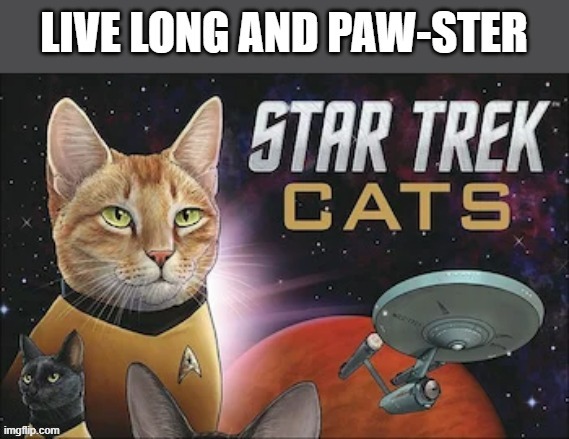 Star Trek cats say "Live long and paw-ster."  - funny - | image tagged in cats,funny,kittens,star trek,quotes,play on words | made w/ Imgflip meme maker
