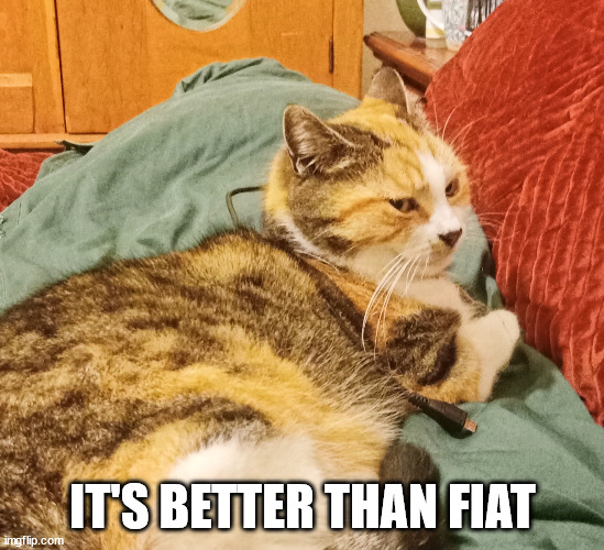 Disdain Cat | IT'S BETTER THAN FIAT | image tagged in disdain cat | made w/ Imgflip meme maker