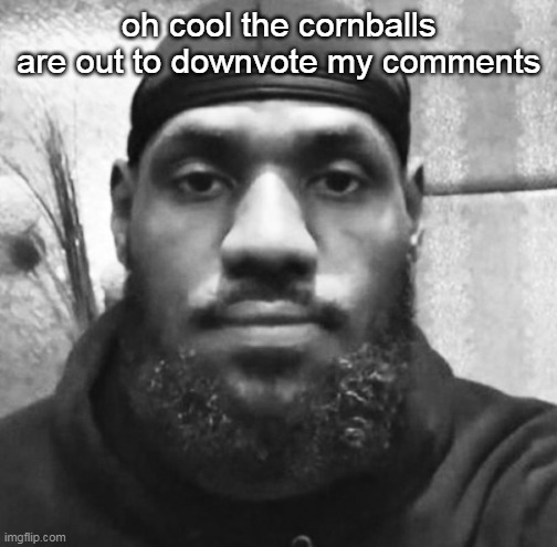 Unimpressed LeBron | oh cool the cornballs are out to downvote my comments | image tagged in unimpressed lebron | made w/ Imgflip meme maker
