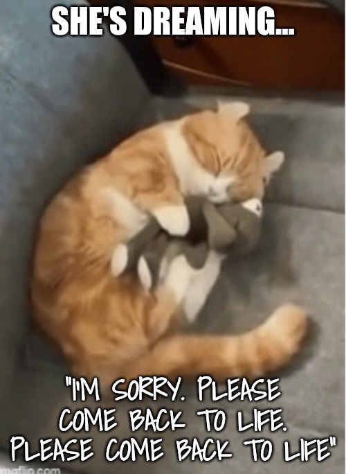 SHE'S DREAMING... "I'M SORRY. PLEASE COME BACK TO LIFE. PLEASE COME BACK TO LIFE" | made w/ Imgflip meme maker