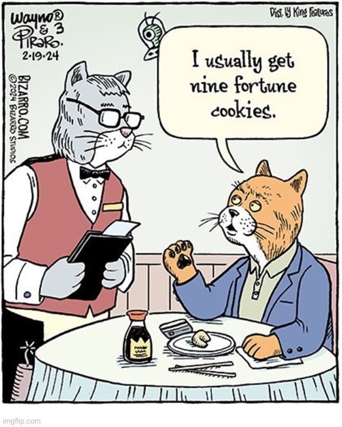 Nine lives, nine fortune cookies… | image tagged in cats,comics,bizarro comics,chinese restaurant,fortune cookies | made w/ Imgflip meme maker