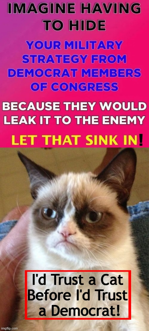 Cat Wisdom From Grumpy Cat | ! I'd Trust a Cat 
Before I'd Trust 
a Democrat! | image tagged in grumpy cat,secrets,democrats,eric swalwell,tim walz,sleeping with the enemy | made w/ Imgflip meme maker