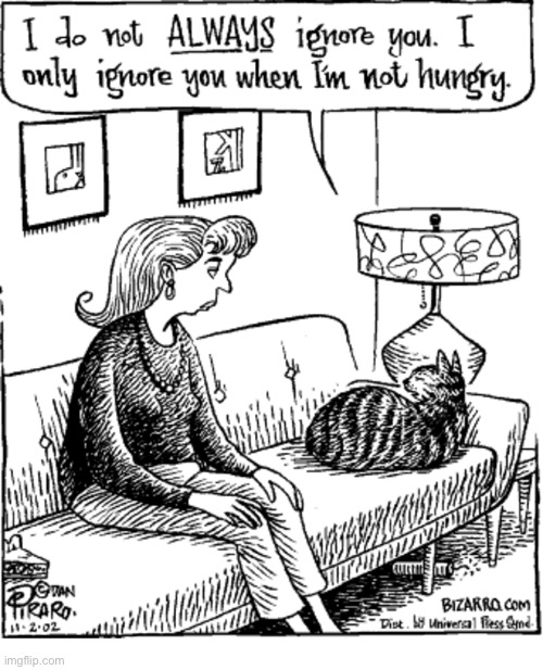 It’s the way of the (cat) world… | image tagged in cats,comics,bizarro comics,selective ignorance | made w/ Imgflip meme maker