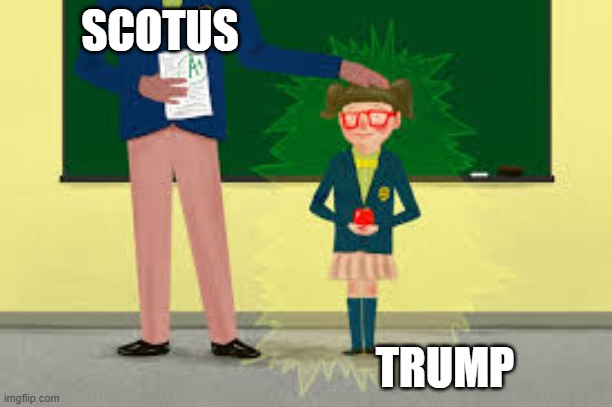 SCOTUS is the disgrace of America, Trump's pet | SCOTUS; TRUMP | image tagged in teachers pet | made w/ Imgflip meme maker