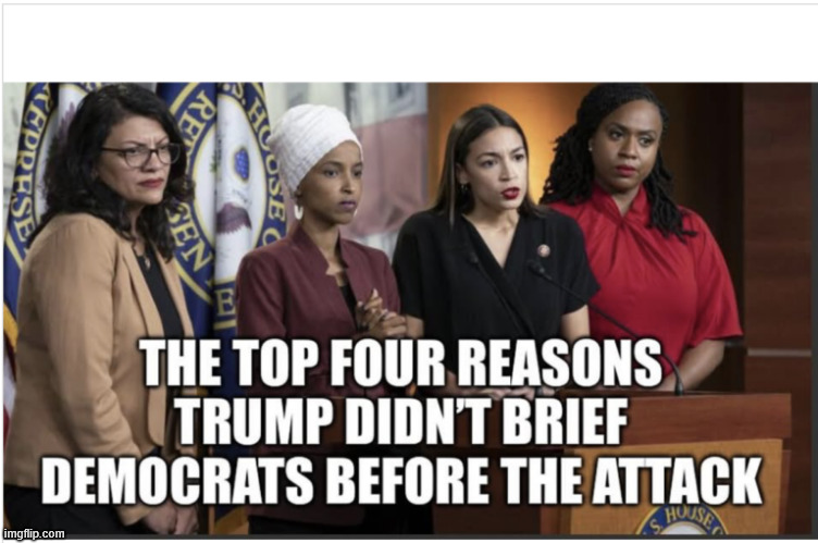 Top 4 reasons | image tagged in dem leakers mad | made w/ Imgflip meme maker