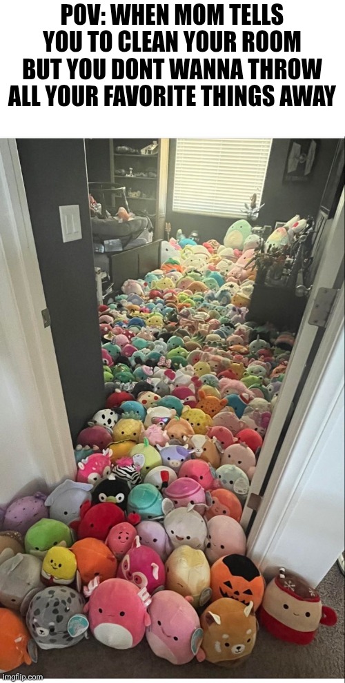 Image Title | POV: WHEN MOM TELLS YOU TO CLEAN YOUR ROOM BUT YOU DONT WANNA THROW ALL YOUR FAVORITE THINGS AWAY | image tagged in clean your room,mom,squishmallow | made w/ Imgflip meme maker