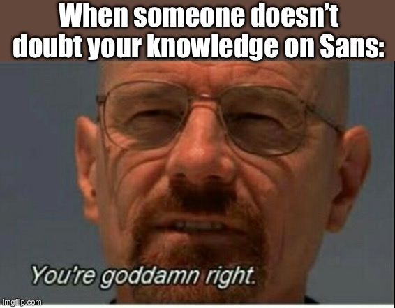 My brain turned off when I made this, sorry if it doesn’t look great. | When someone doesn’t doubt your knowledge on Sans: | image tagged in you're dam right | made w/ Imgflip meme maker