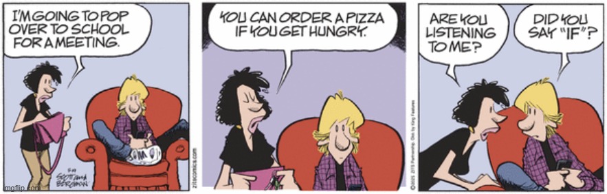 Zits | image tagged in comics | made w/ Imgflip meme maker