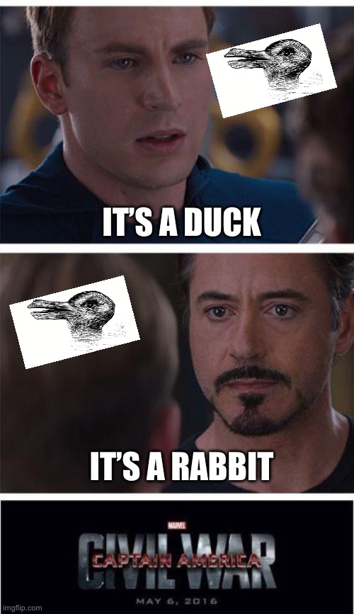 What do you think it is? | IT’S A DUCK; IT’S A RABBIT | image tagged in memes,marvel civil war 1 | made w/ Imgflip meme maker