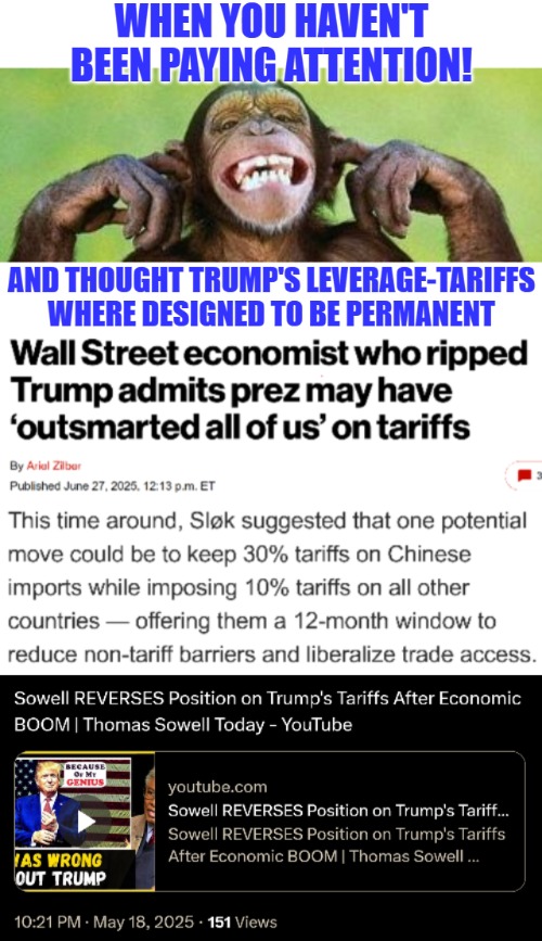 Dems especially hate it when Trump does Democrat politics, such as tariffs | image tagged in tariffs,economics,american politics,donald trump,news | made w/ Imgflip meme maker