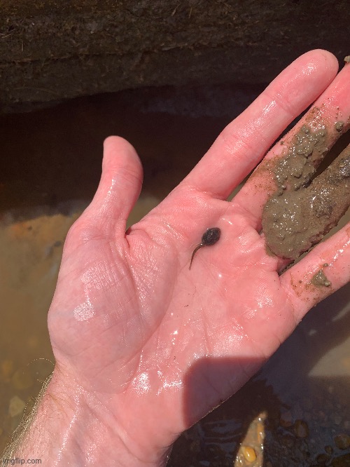 Baby fog | made w/ Imgflip meme maker