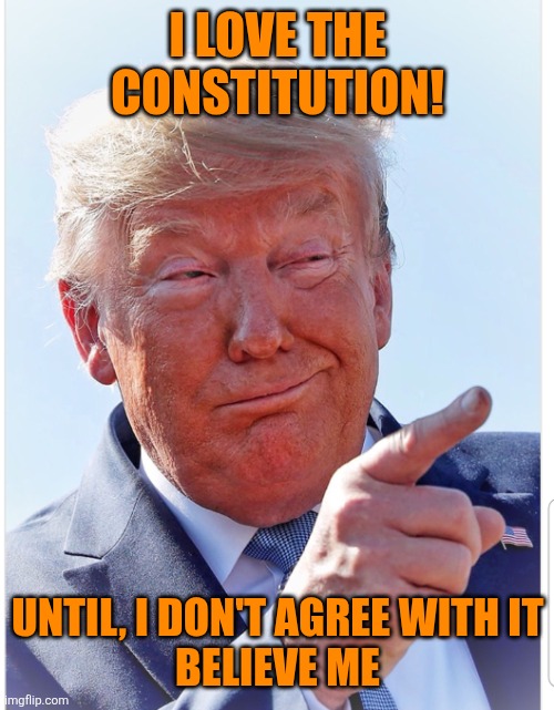 Trump pointing | I LOVE THE CONSTITUTION! UNTIL, I DON'T AGREE WITH IT
BELIEVE ME | image tagged in trump pointing | made w/ Imgflip meme maker