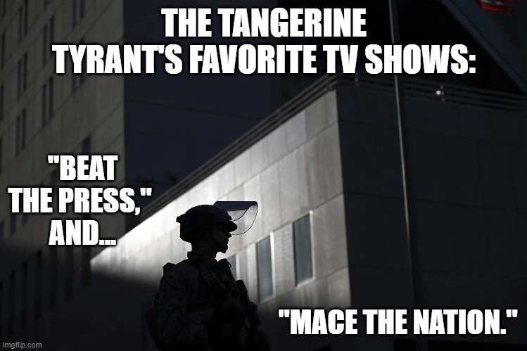 "Injustice for All!" | THE TANGERINE TYRANT'S FAVORITE TV SHOWS:; "BEAT THE PRESS," 
AND... "MACE THE NATION." | image tagged in politics | made w/ Imgflip meme maker