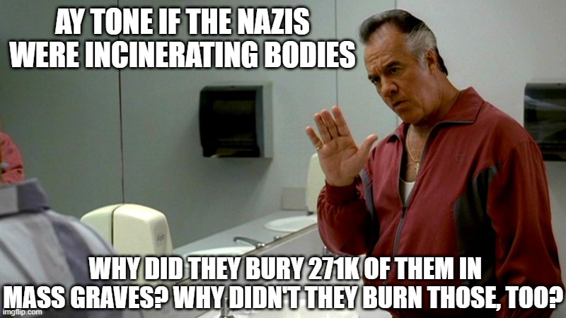 6 million burned, 271k buried | AY TONE IF THE NAZIS WERE INCINERATING BODIES; WHY DID THEY BURY 271K OF THEM IN MASS GRAVES? WHY DIDN'T THEY BURN THOSE, TOO? | image tagged in ay tone,holocaust,denial | made w/ Imgflip meme maker