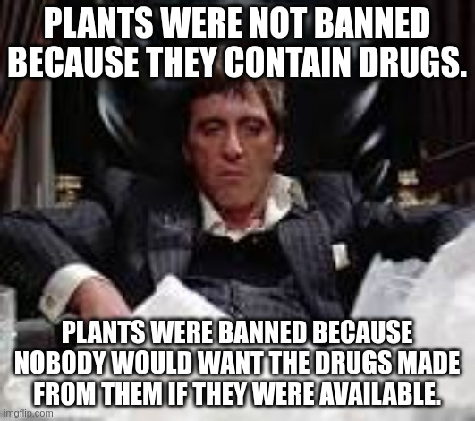 drugs | PLANTS WERE NOT BANNED BECAUSE THEY CONTAIN DRUGS. PLANTS WERE BANNED BECAUSE NOBODY WOULD WANT THE DRUGS MADE FROM THEM IF THEY WERE AVAILABLE. | image tagged in scarface cocaine | made w/ Imgflip meme maker