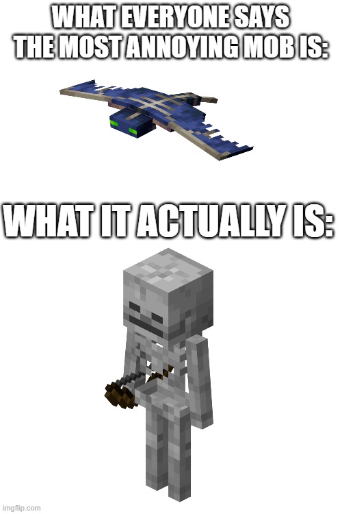Bruh skeletons are so annoying | WHAT EVERYONE SAYS THE MOST ANNOYING MOB IS:; WHAT IT ACTUALLY IS: | made w/ Imgflip meme maker