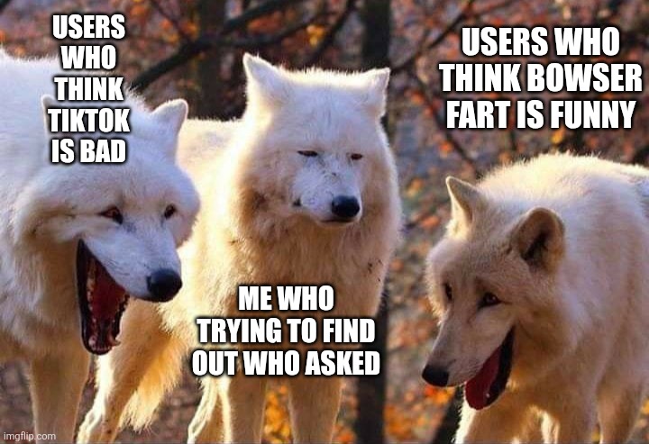 Am I even trying to find out who asked? | USERS WHO THINK TIKTOK IS BAD; USERS WHO THINK BOWSER FART IS FUNNY; ME WHO TRYING TO FIND OUT WHO ASKED | image tagged in laughing wolf,memes,funny,oh wow are you actually reading these tags | made w/ Imgflip meme maker