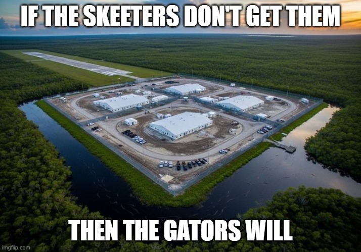 Awesome Alligator Alcatraz | IF THE SKEETERS DON'T GET THEM; THEN THE GATORS WILL | image tagged in awesome alligator alcatraz | made w/ Imgflip meme maker
