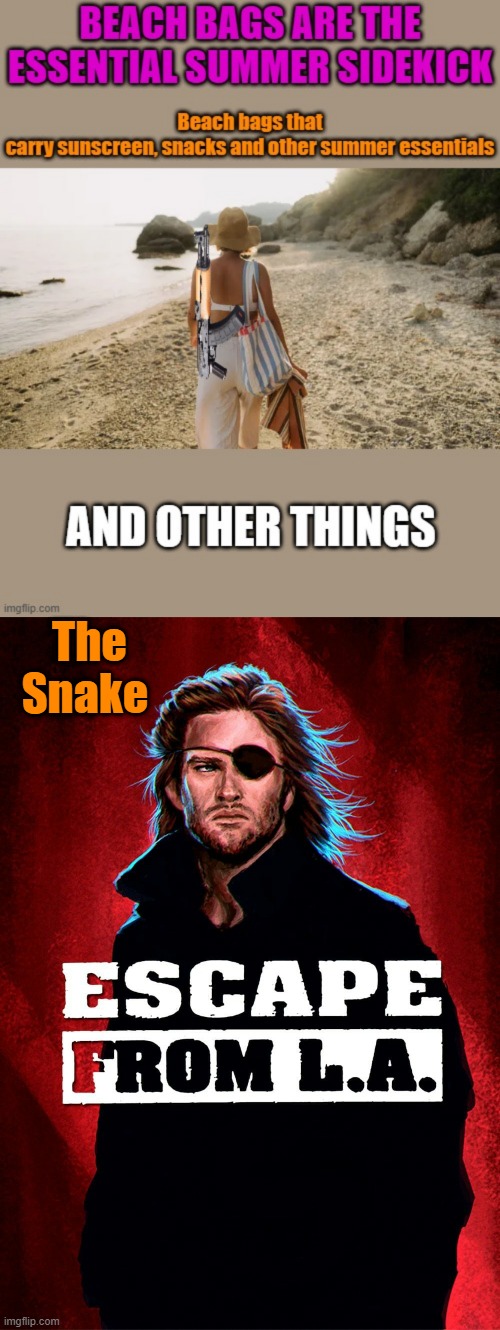 On the Beach in LA 2025 | The Snake | made w/ Imgflip meme maker