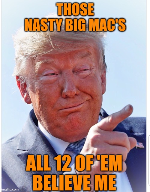 Trump pointing | THOSE NASTY BIG MAC'S ALL 12 OF 'EM
BELIEVE ME | image tagged in trump pointing | made w/ Imgflip meme maker