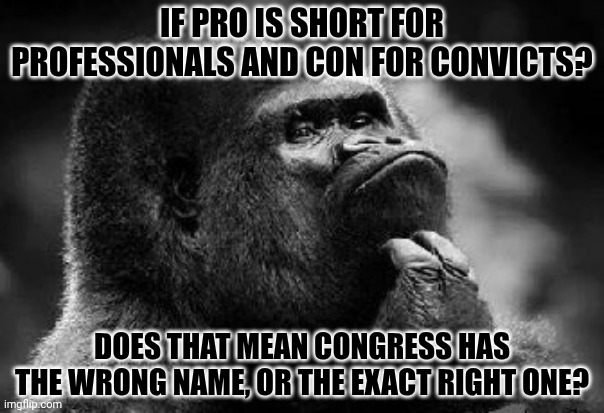 thinking monkey | IF PRO IS SHORT FOR PROFESSIONALS AND CON FOR CONVICTS? DOES THAT MEAN CONGRESS HAS THE WRONG NAME, OR THE EXACT RIGHT ONE? | image tagged in thinking monkey | made w/ Imgflip meme maker