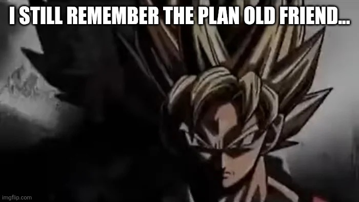 Goku Staring | I STILL REMEMBER THE PLAN OLD FRIEND... | image tagged in goku staring | made w/ Imgflip meme maker