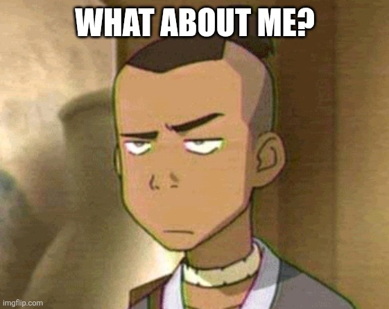 Sokka Disaproves | WHAT ABOUT ME? | image tagged in sokka disaproves | made w/ Imgflip meme maker