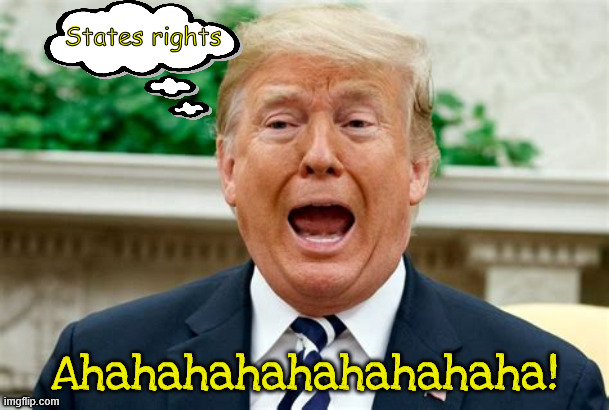 One Big Beautiful State | States rights; Ahahahahahahahahaha! | image tagged in one big beautiful state,states rights,atuocracy,state of trumerica,maga monarchy,democracy died | made w/ Imgflip meme maker